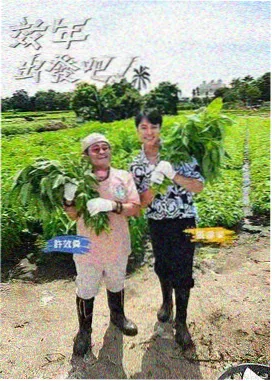 职场励志综艺